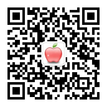 网站56号